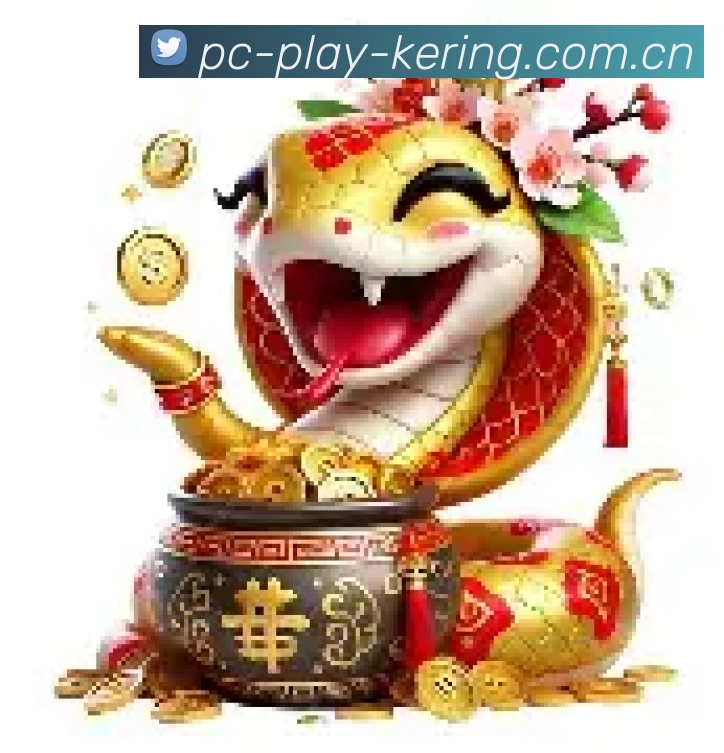 开云官方平台展示